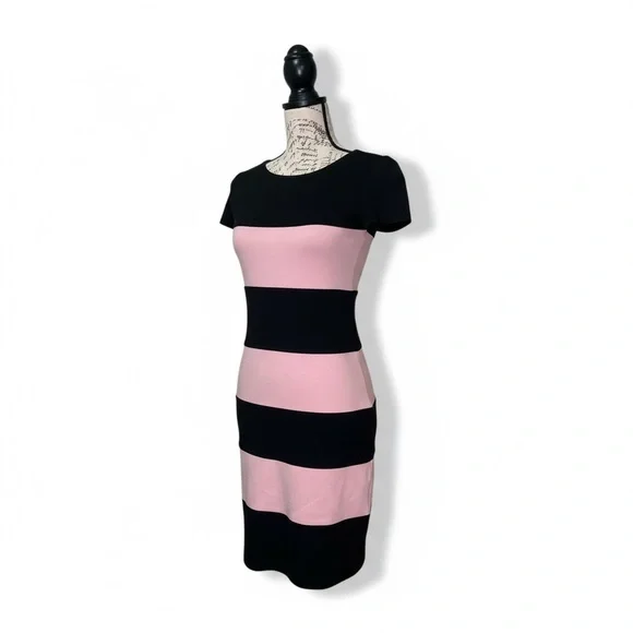 Yoana Baraschi | Black and Pink Striped Dress for Women Size Small - Picture 6 of 16